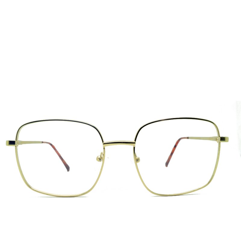 Anteojos de Metal Dorado livianos para lentes recetados | HT88033DOC5